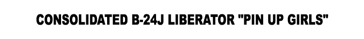 LIBERATOR